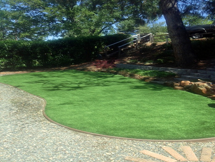 Artificial Turf Cost Lakeland Village, California Landscaping Business, Backyards