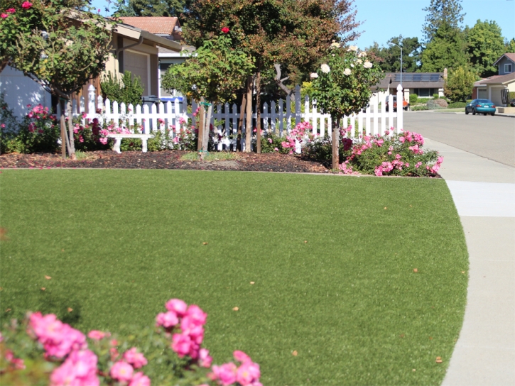 Artificial Turf Cost South El Monte, California Home And Garden, Front Yard Landscape Ideas