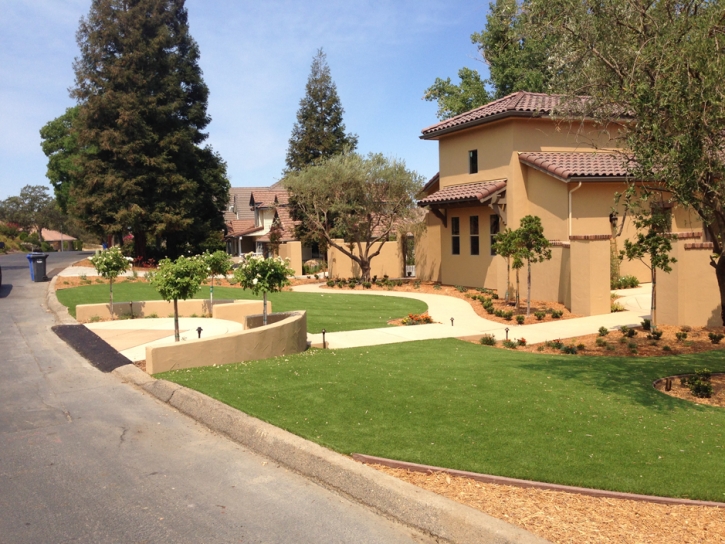 Artificial Turf Cost Upland, California Roof Top, Front Yard Landscaping