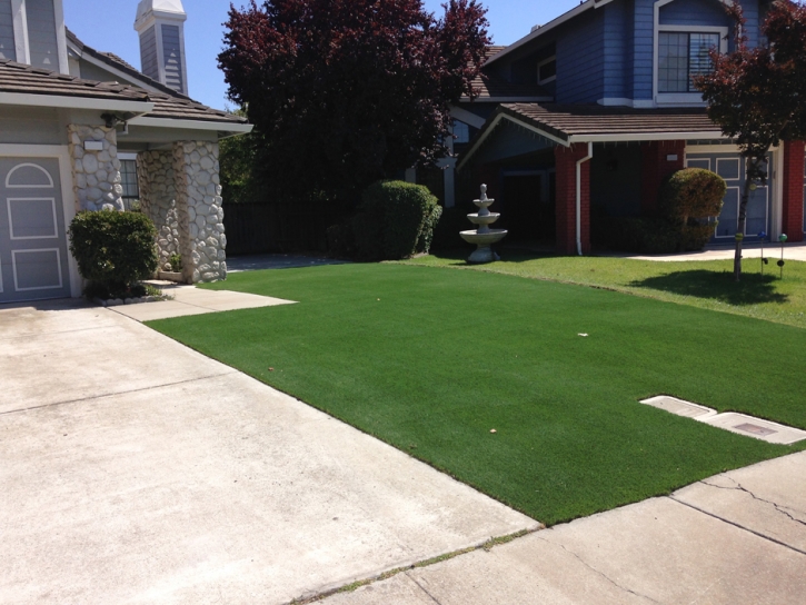 Artificial Turf Coto De Caza, California Garden Ideas, Landscaping Ideas For Front Yard