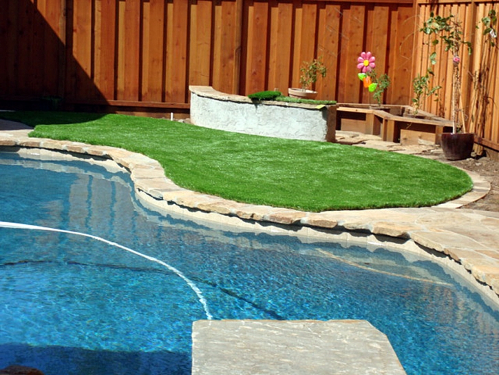 Artificial Turf Cudahy, California Landscape Ideas, Swimming Pools