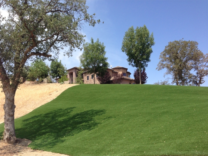 Artificial Turf Installation Claremont, California Landscaping Business, Landscaping Ideas For Front Yard