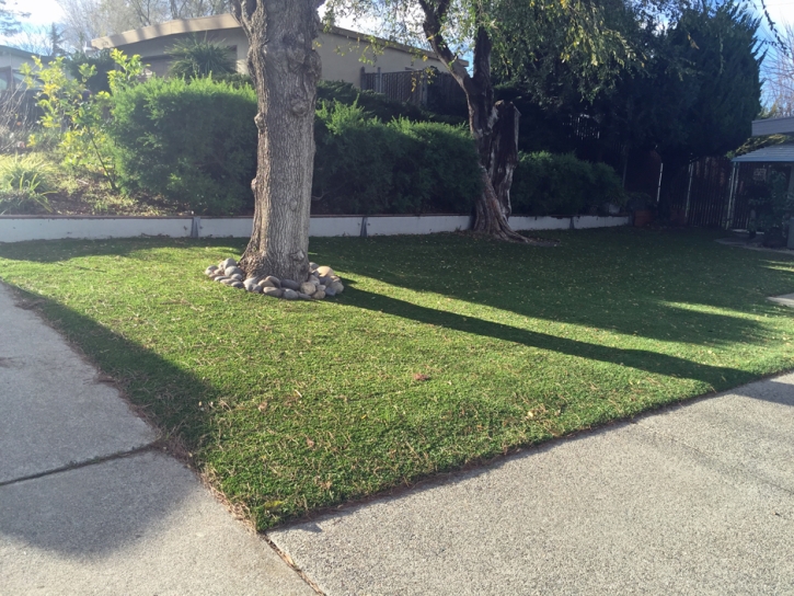 Artificial Turf Installation Cypress, California Landscape Photos, Front Yard Landscape Ideas