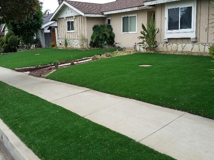 Artificial Turf Installation Hermosa Beach, California Landscape Ideas, Front Yard