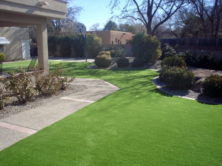 Artificial Turf Installation Lennox, California Lawns, Front Yard Landscaping Ideas