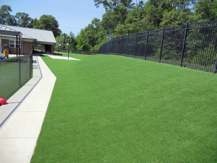 Artificial Turf Installation Malibu, California Design Ideas, Commercial Landscape