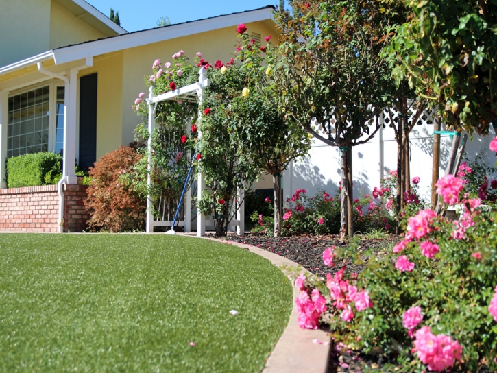 Artificial Turf Installation Manhattan Beach, California Lawns, Front Yard