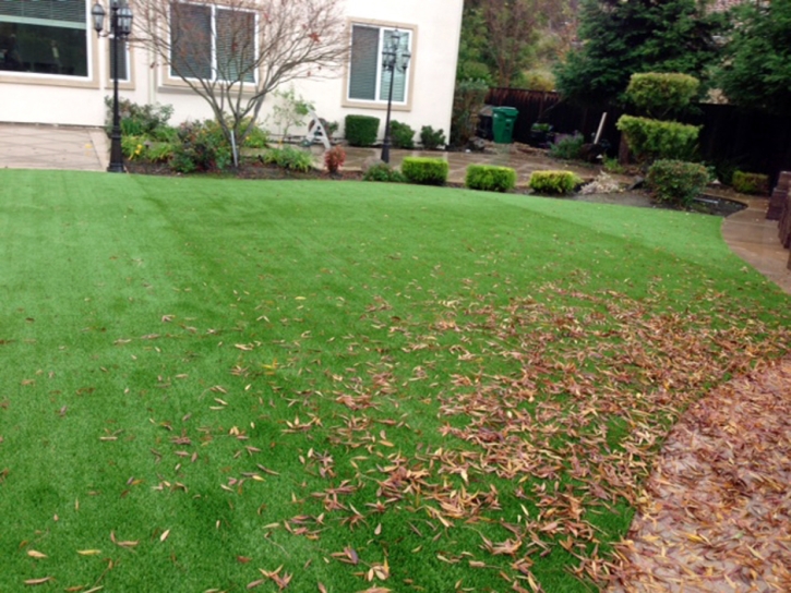 Artificial Turf Installation Rialto, California Lawn And Garden, Backyard Ideas