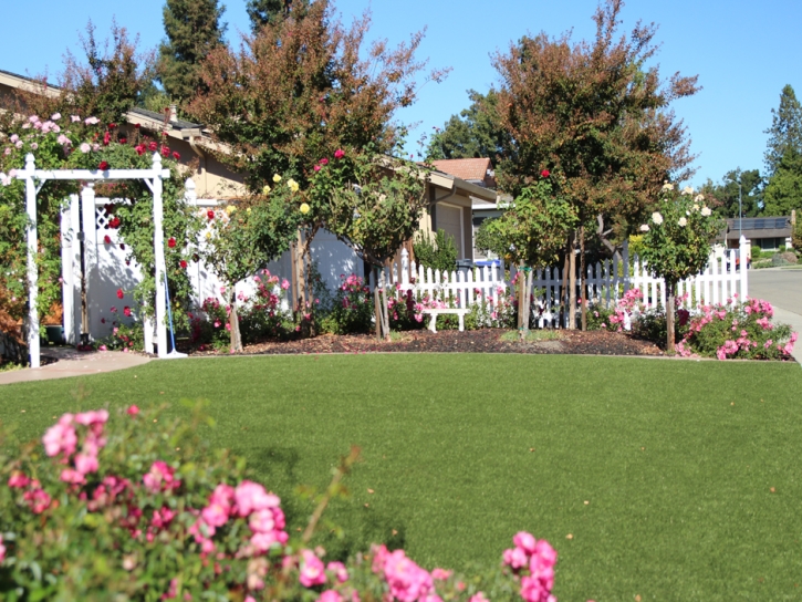 Artificial Turf Installation San Juan Capistrano, California Rooftop, Front Yard Landscaping Ideas