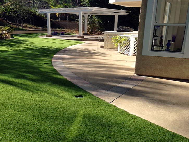 Artificial Turf Ladera Ranch, California Pet Grass, Small Front Yard Landscaping