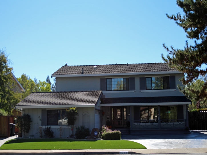 Artificial Turf Lake Los Angeles, California City Landscape, Front Yard Ideas