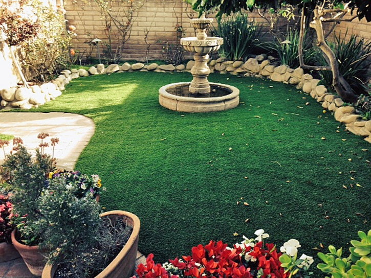 Artificial Turf Las Flores, California Landscape Ideas