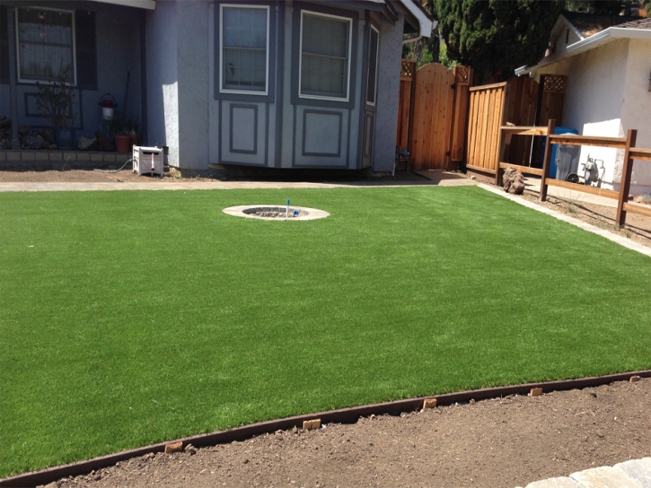 Artificial Turf Maywood, California Landscape Design, Backyard Garden Ideas