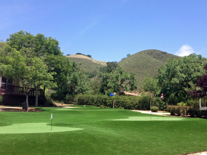 Artificial Turf Mission Viejo, California Backyard Putting Green, Front Yard