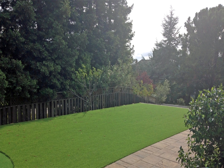 Artificial Turf Monterey Park, California Landscaping, Beautiful Backyards