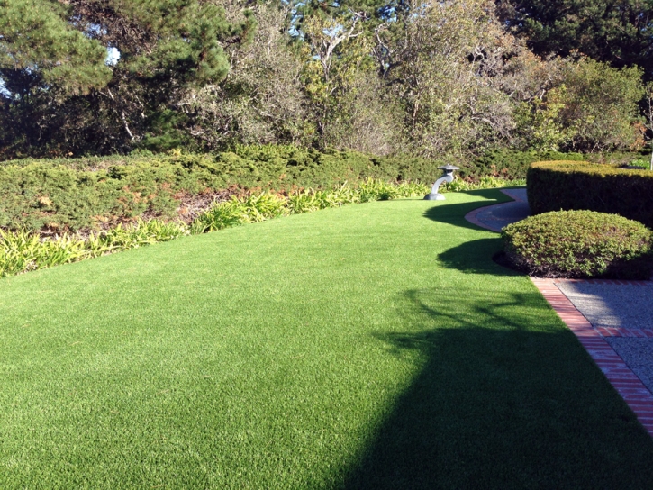 Artificial Turf Moorpark, California Landscape Ideas, Front Yard Landscape Ideas