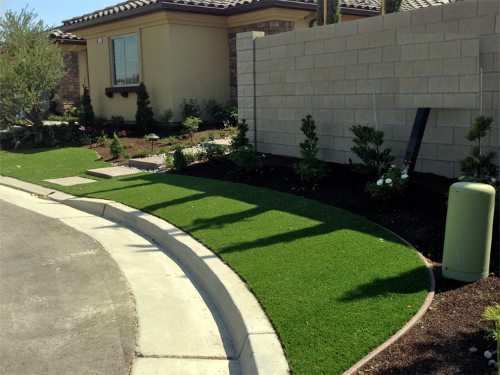 Artificial Turf Rowland Heights, California Backyard Playground, Front Yard Landscape Ideas