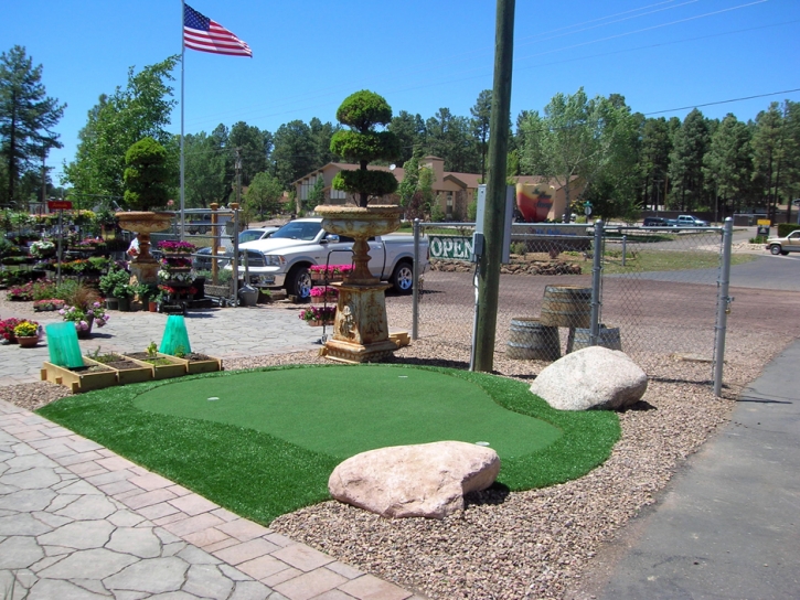 Artificial Turf Sun City, California Indoor Putting Green, Commercial Landscape