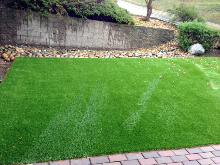 Artificial Turf Van Nuys, California Dog Pound, Backyard