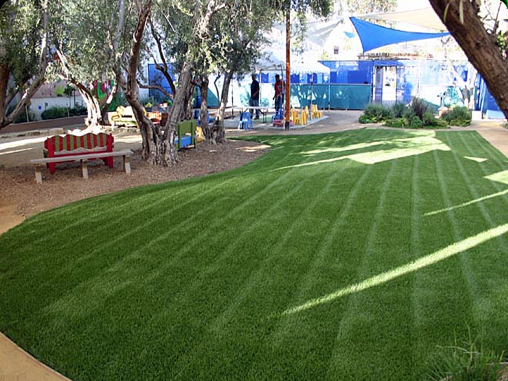 Artificial Turf West Rancho Dominguez, California Design Ideas, Commercial Landscape