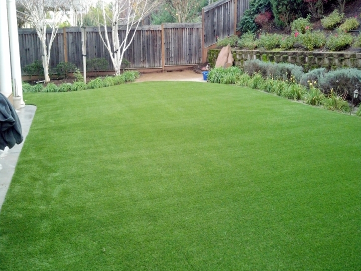 Best Artificial Grass Calimesa, California Landscape Photos, Backyard