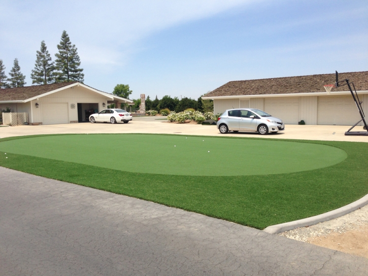 Best Artificial Grass Chatsworth, California Landscaping, Front Yard Landscaping Ideas