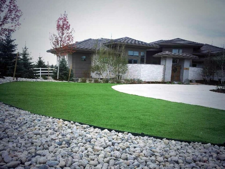 Best Artificial Grass La Mesa, California Landscaping Business, Front Yard Design