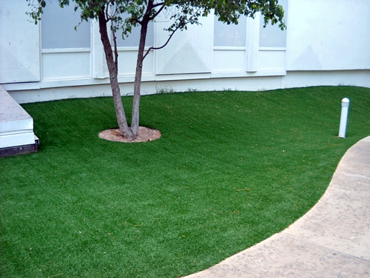 Best Artificial Grass Malibu Beach, California Roof Top, Commercial Landscape