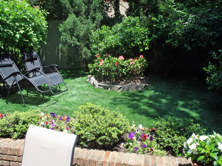 Best Artificial Grass Oak Glen, California Landscaping, Backyard Ideas