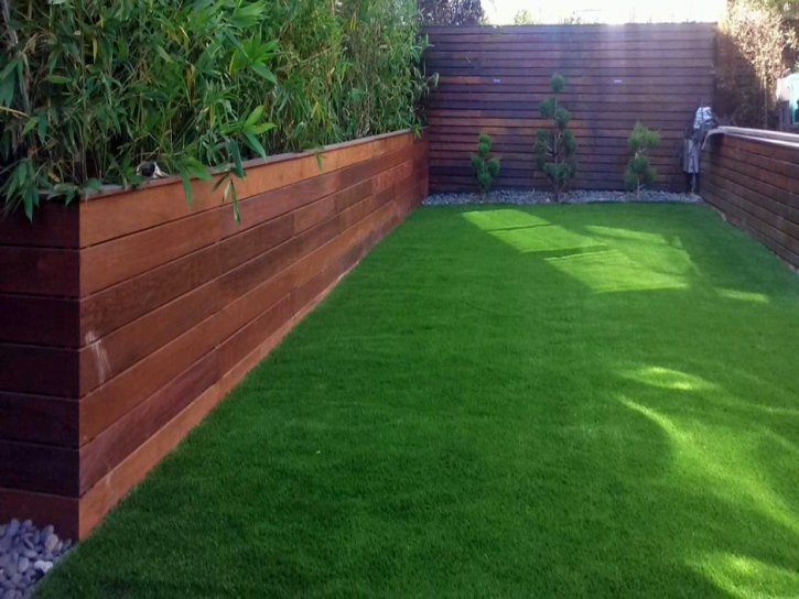 Best Artificial Grass Quartz Hill, California Landscape Rock, Backyards