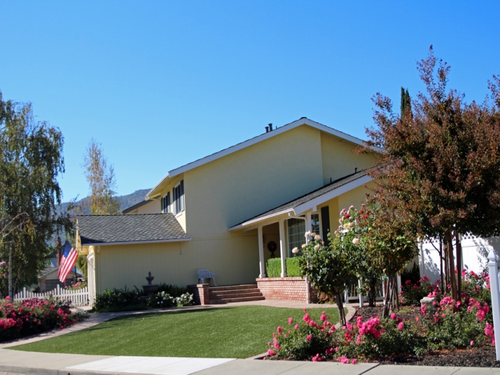 Best Artificial Grass Santa Paula, California Roof Top, Front Yard