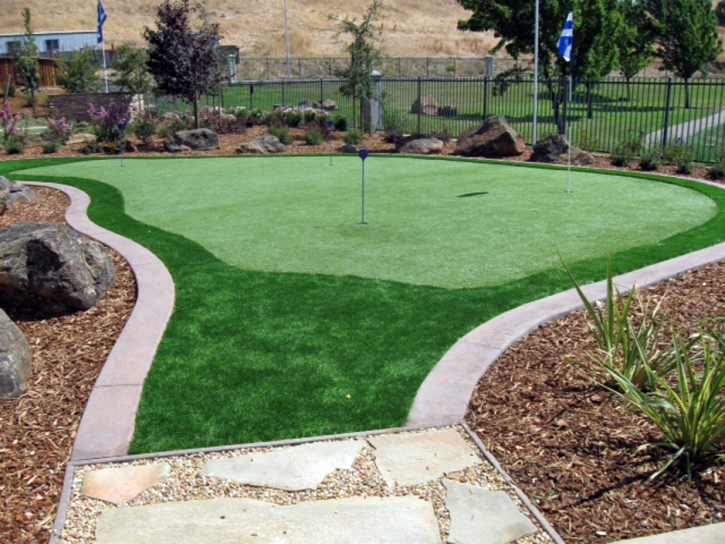 Best Artificial Grass Winter Gardens, California Lawns, Backyard Garden Ideas