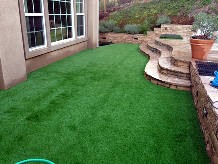 Fake Grass Alondra Park, California Landscaping Business, Backyard Design