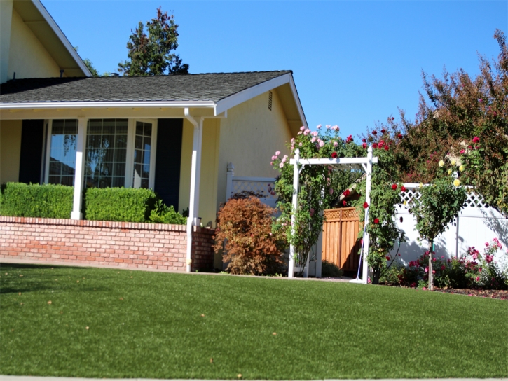 Fake Grass Carpet Bell Gardens, California Landscaping Business, Landscaping Ideas For Front Yard