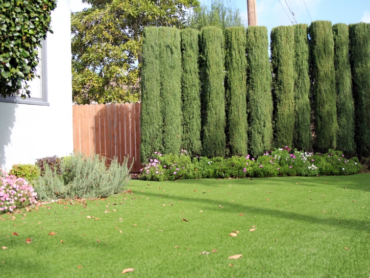 Fake Grass Carpet Big Bear City, California Lawn And Garden, Front Yard Landscape Ideas