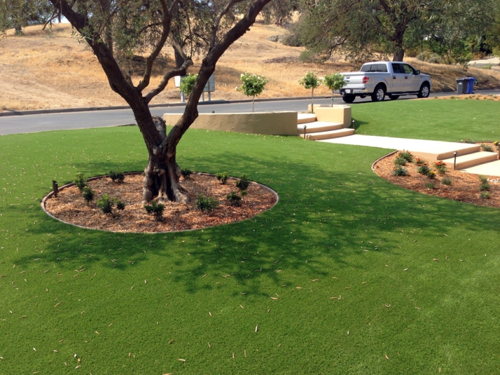 Fake Grass Carpet Boron, California Landscaping, Landscaping Ideas For Front Yard