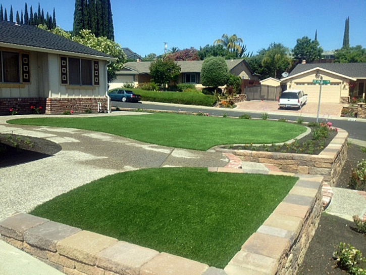 Fake Grass Carpet Fontana, California Landscape Photos