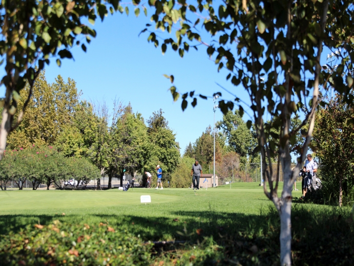 Fake Grass Carpet Garden Grove, California Landscaping Business