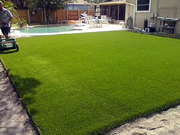 Fake Grass Carpet Hawthorne, California Landscaping Business, Backyard Ideas