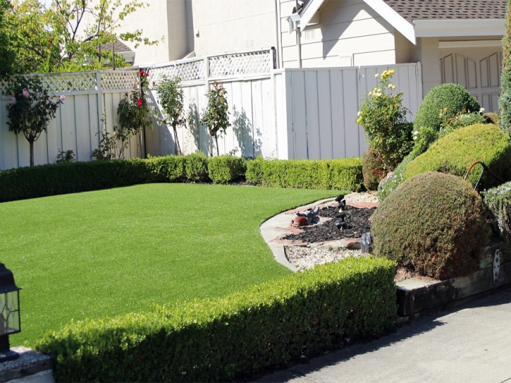 Fake Grass Carpet Highland, California Home And Garden, Front Yard