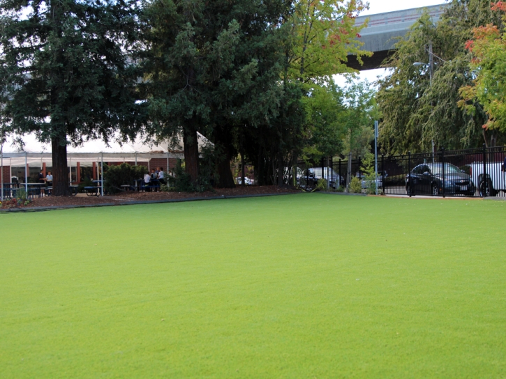 Fake Grass Carpet Maywood, California Backyard Playground, Commercial Landscape