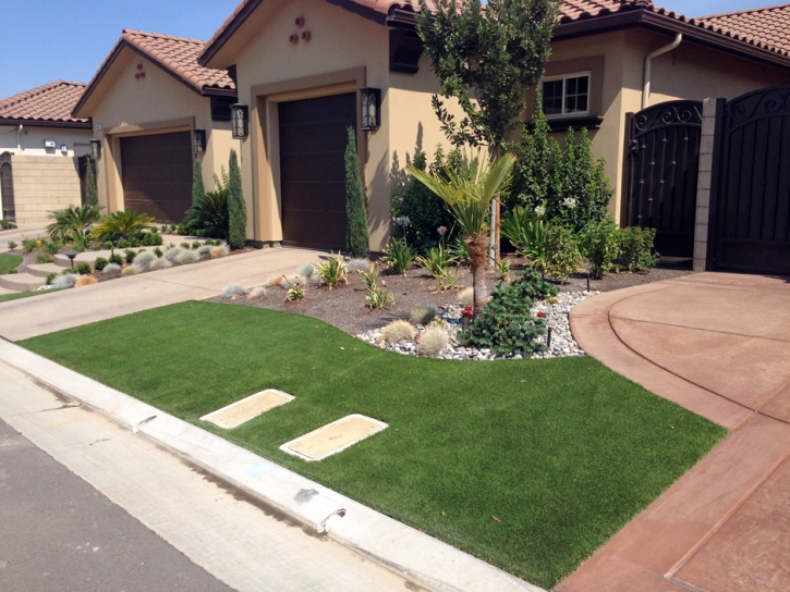 Fake Grass Carpet North Hollywood, California Landscaping, Small Front Yard Landscaping