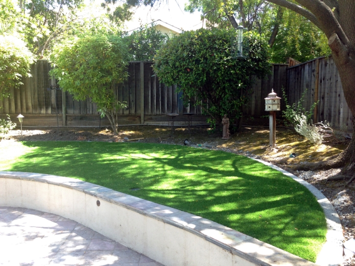 Fake Grass Carpet Pomona, California Landscape Rock, Commercial Landscape