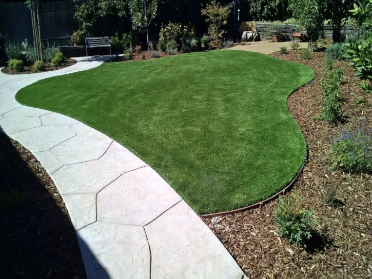 Fake Grass Carpet Santa Paula, California Landscaping, Front Yard Landscaping Ideas