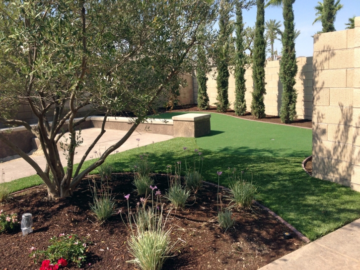 Fake Grass Citrus, California Lawn And Landscape, Backyard Ideas