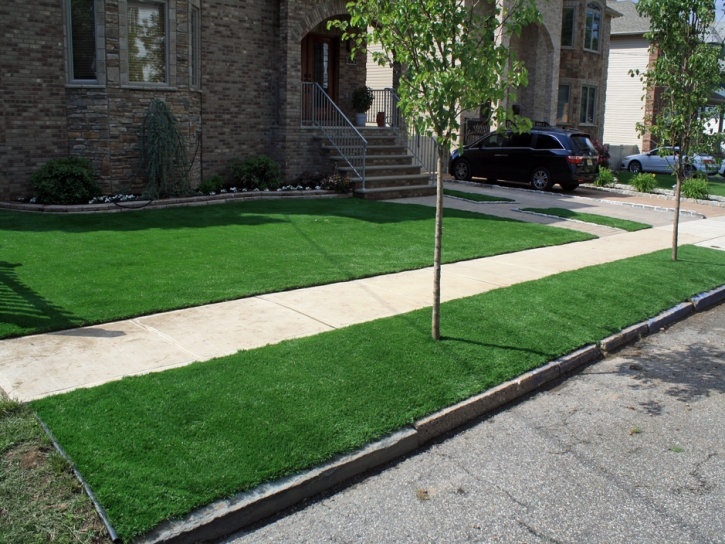 Fake Grass Fillmore, California Gardeners, Front Yard Landscape Ideas