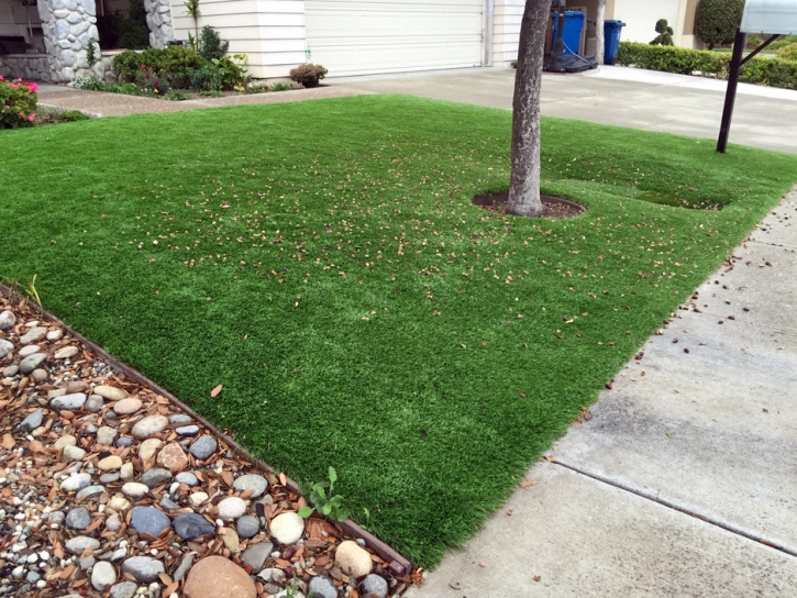 Fake Grass Idyllwild-Pine Cove, California Garden Ideas, Front Yard