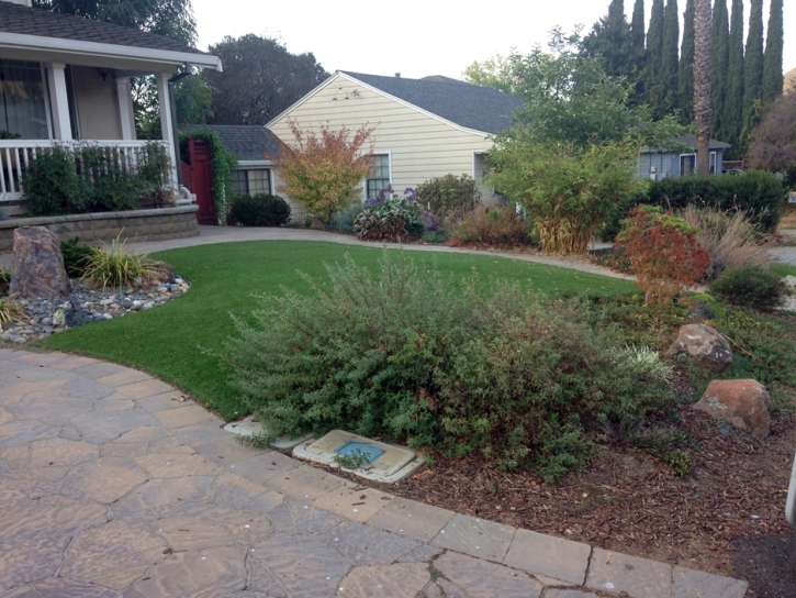 Fake Grass Malibu, California Backyard Playground, Landscaping Ideas For Front Yard