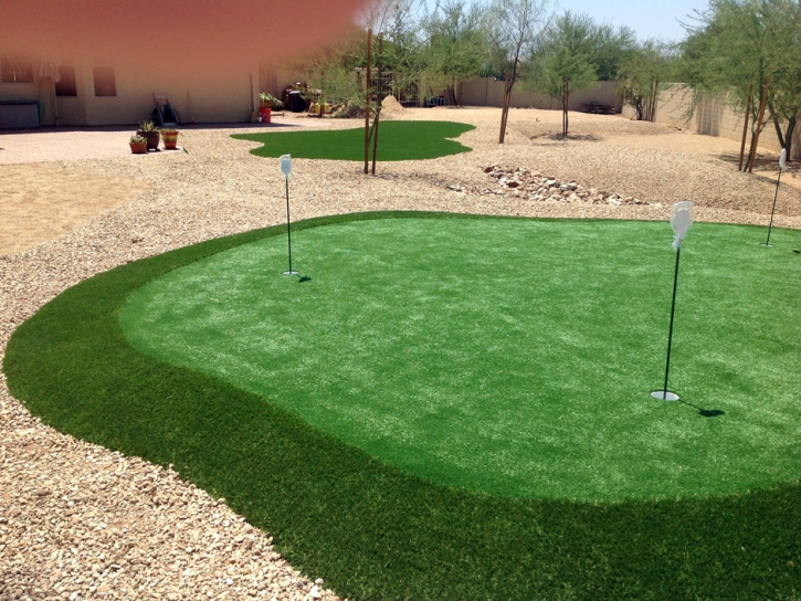 Fake Grass Marina del Rey, California Outdoor Putting Green, Backyard Makeover