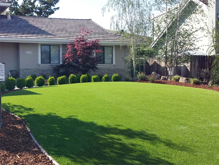 Fake Grass Montclair, California Landscape Photos, Front Yard Landscape Ideas